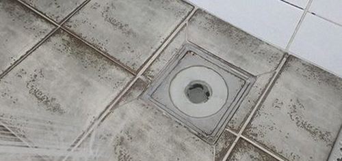 도봉동 하수구막힘 배관 점검 전 막힘 위치와 주변 누수 흔적을 확인하는 장면